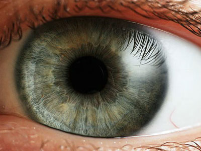 Human Eye